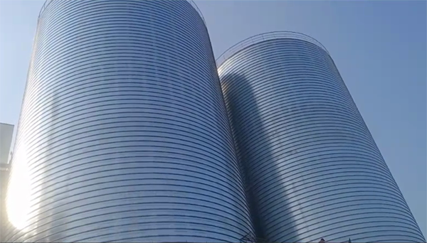 九龙坡2座混凝土高架卷板仓